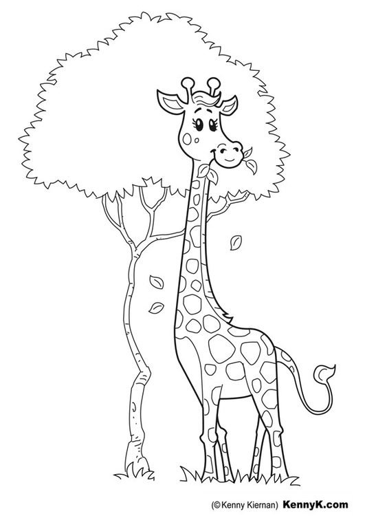 Раскраска: жираф (Животные) #7329 - Бесплатные раскраски для печати