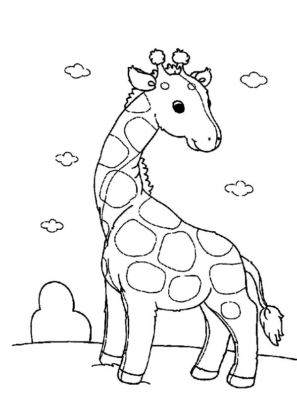 Раскраска: жираф (Животные) #7332 - Бесплатные раскраски для печати