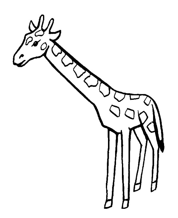 Раскраска: жираф (Животные) #7351 - Бесплатные раскраски для печати