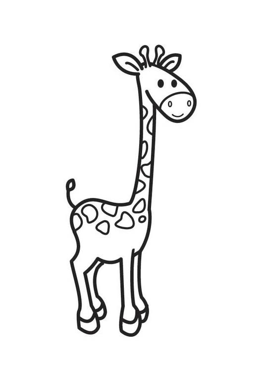 Раскраска: жираф (Животные) #7357 - Бесплатные раскраски для печати