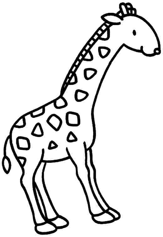 Раскраска: жираф (Животные) #7367 - Бесплатные раскраски для печати