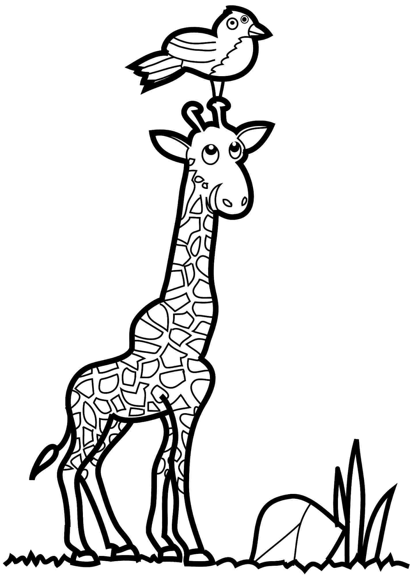 Раскраска: жираф (Животные) #7370 - Бесплатные раскраски для печати