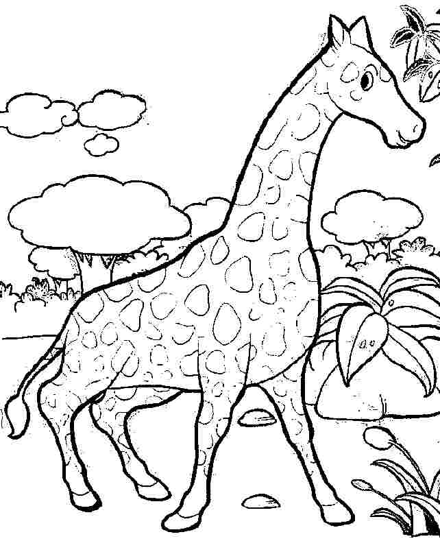 Раскраска: жираф (Животные) #7380 - Бесплатные раскраски для печати