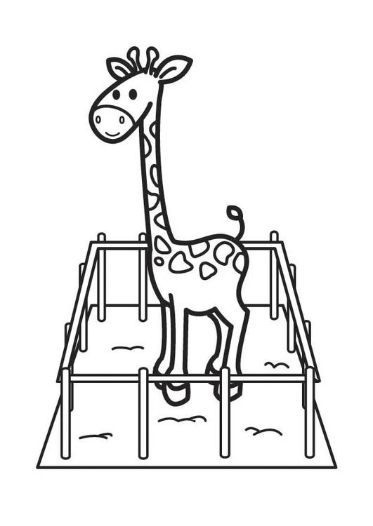 Раскраска: жираф (Животные) #7391 - Бесплатные раскраски для печати