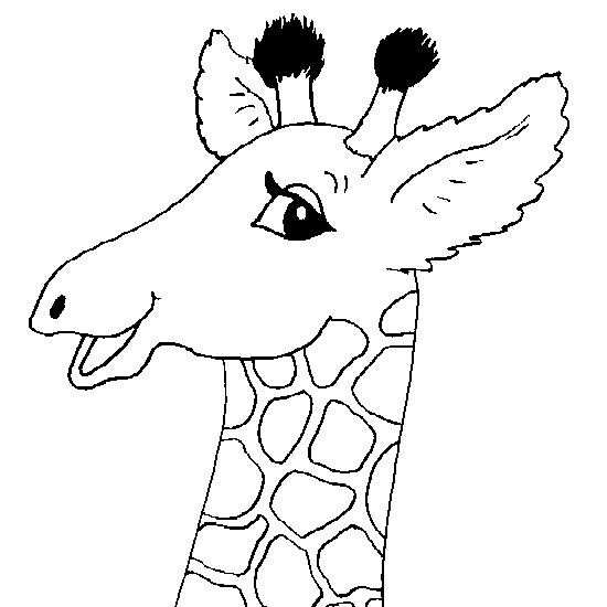 Раскраска: жираф (Животные) #7412 - Бесплатные раскраски для печати