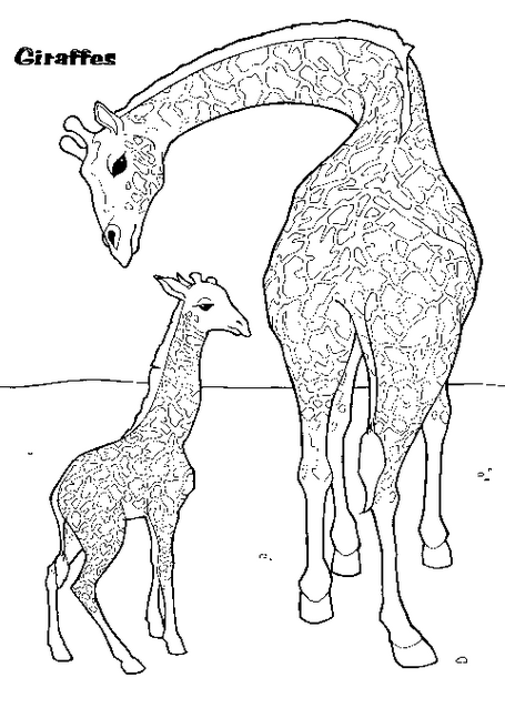 Раскраска: жираф (Животные) #7413 - Бесплатные раскраски для печати