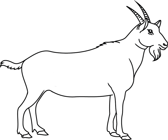Раскраска: коза (Животные) #2365 - Бесплатные раскраски для печати