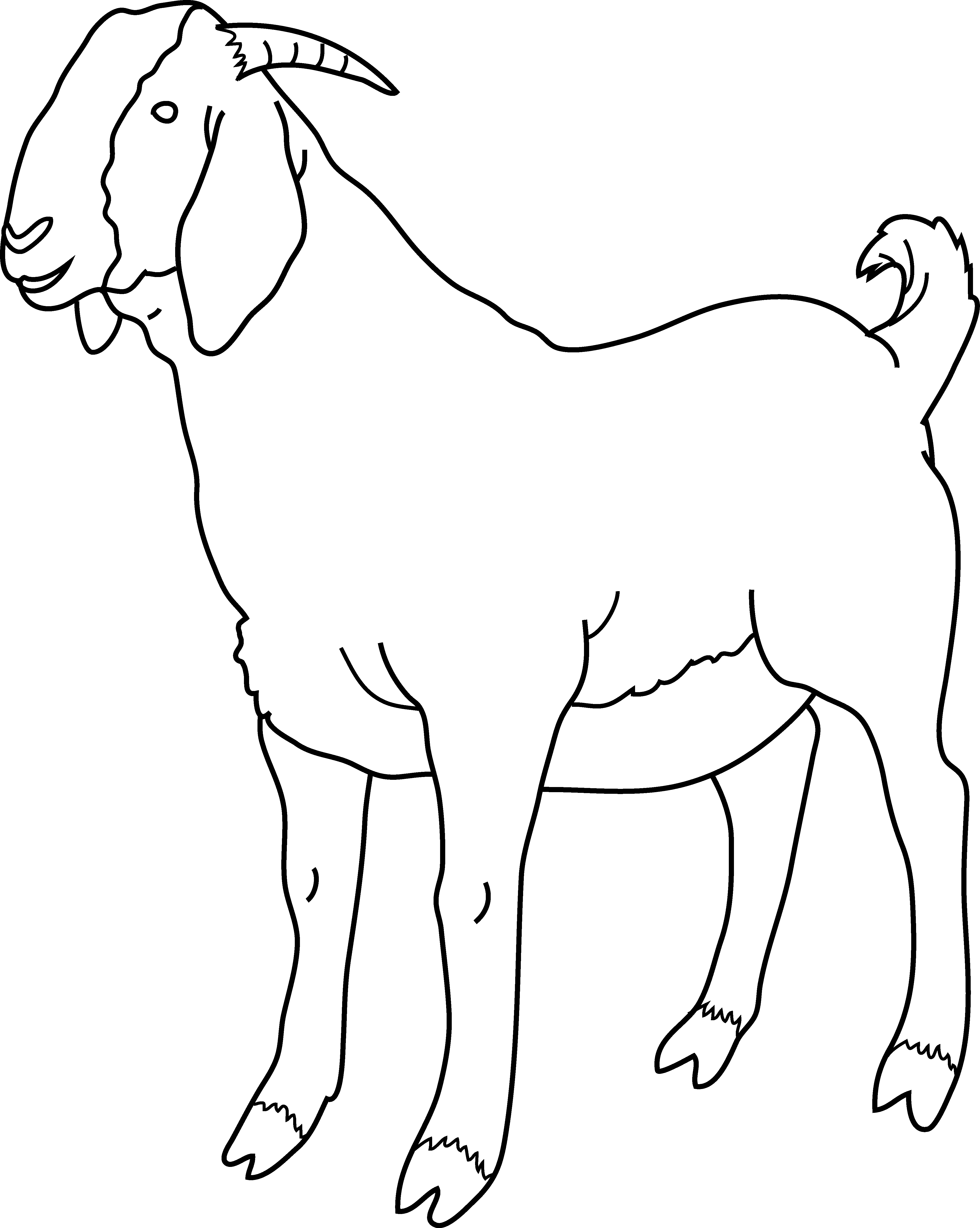 Черно белая коза