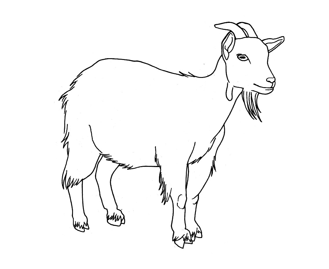 Раскраска: коза (Животные) #2406 - Бесплатные раскраски для печати