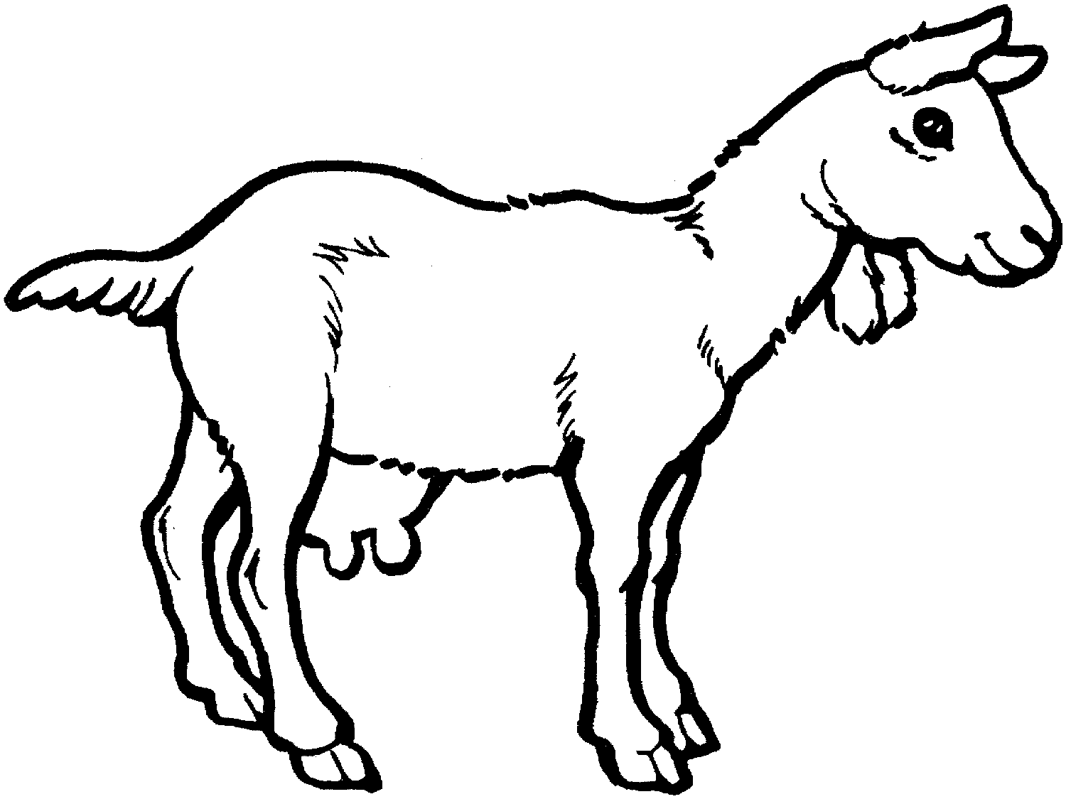 Раскраска: коза (Животные) #2408 - Бесплатные раскраски для печати