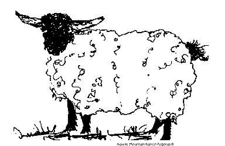 Раскраска: коза (Животные) #2456 - Бесплатные раскраски для печати