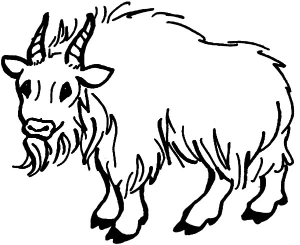 Раскраска: коза (Животные) #2515 - Бесплатные раскраски для печати