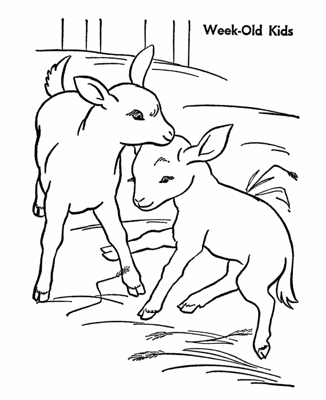 Раскраска: коза (Животные) #2518 - Бесплатные раскраски для печати