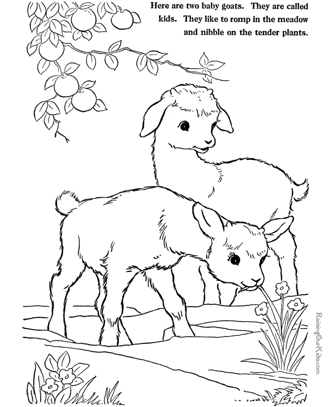 Раскраска: коза (Животные) #2520 - Бесплатные раскраски для печати