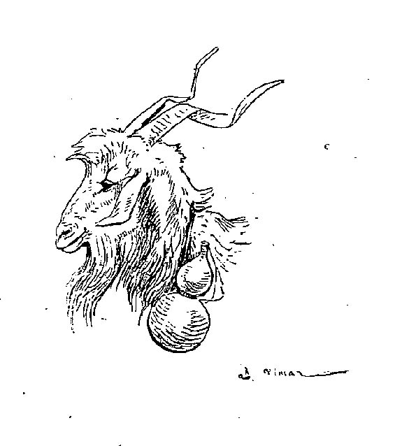 Раскраска: коза (Животные) #2539 - Бесплатные раскраски для печати