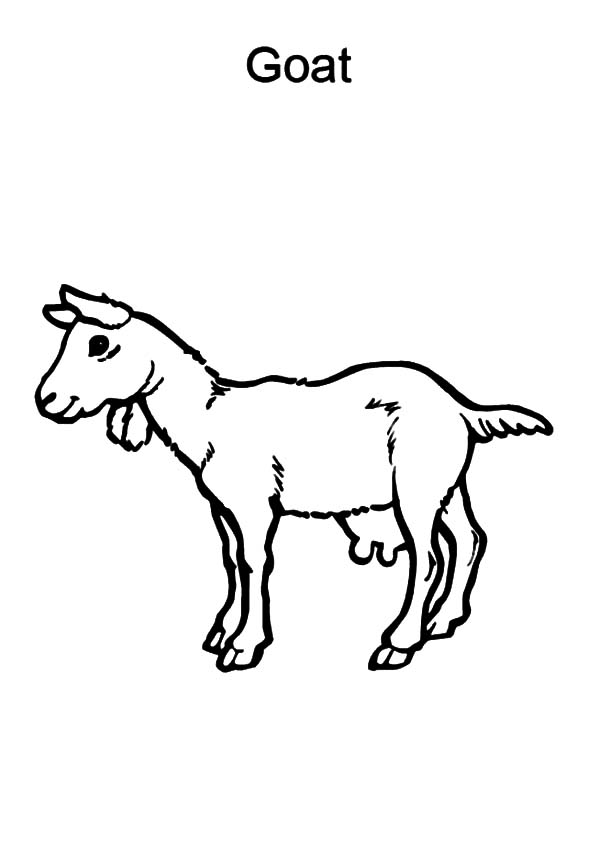 Раскраска: коза (Животные) #2541 - Бесплатные раскраски для печати