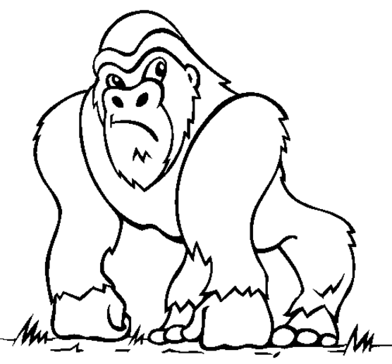 Раскраска: горилла (Животные) #7420 - Бесплатные раскраски для печати