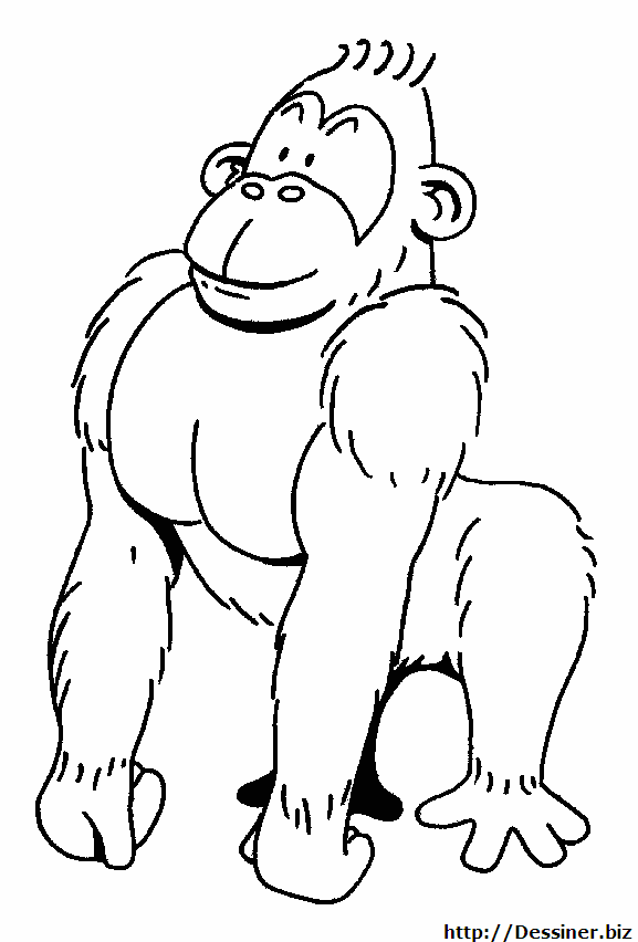 Раскраска: горилла (Животные) #7422 - Бесплатные раскраски для печати
