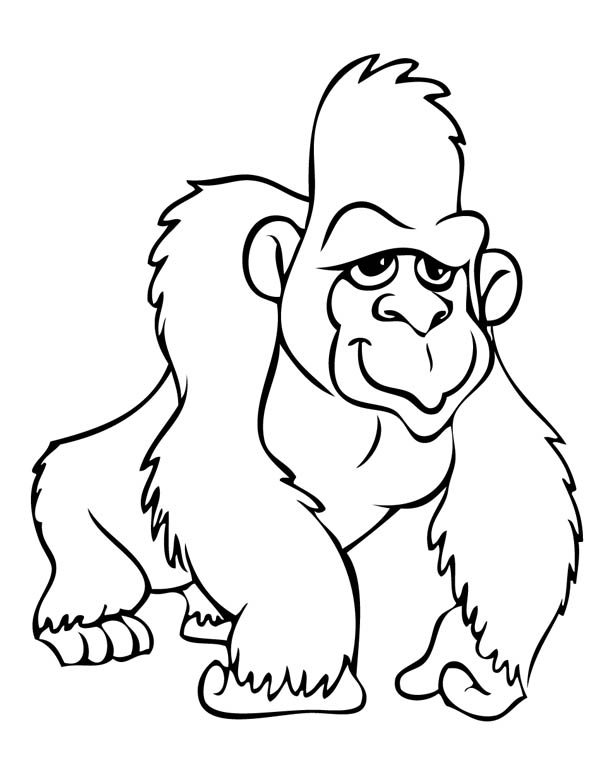 Раскраска: горилла (Животные) #7427 - Бесплатные раскраски для печати