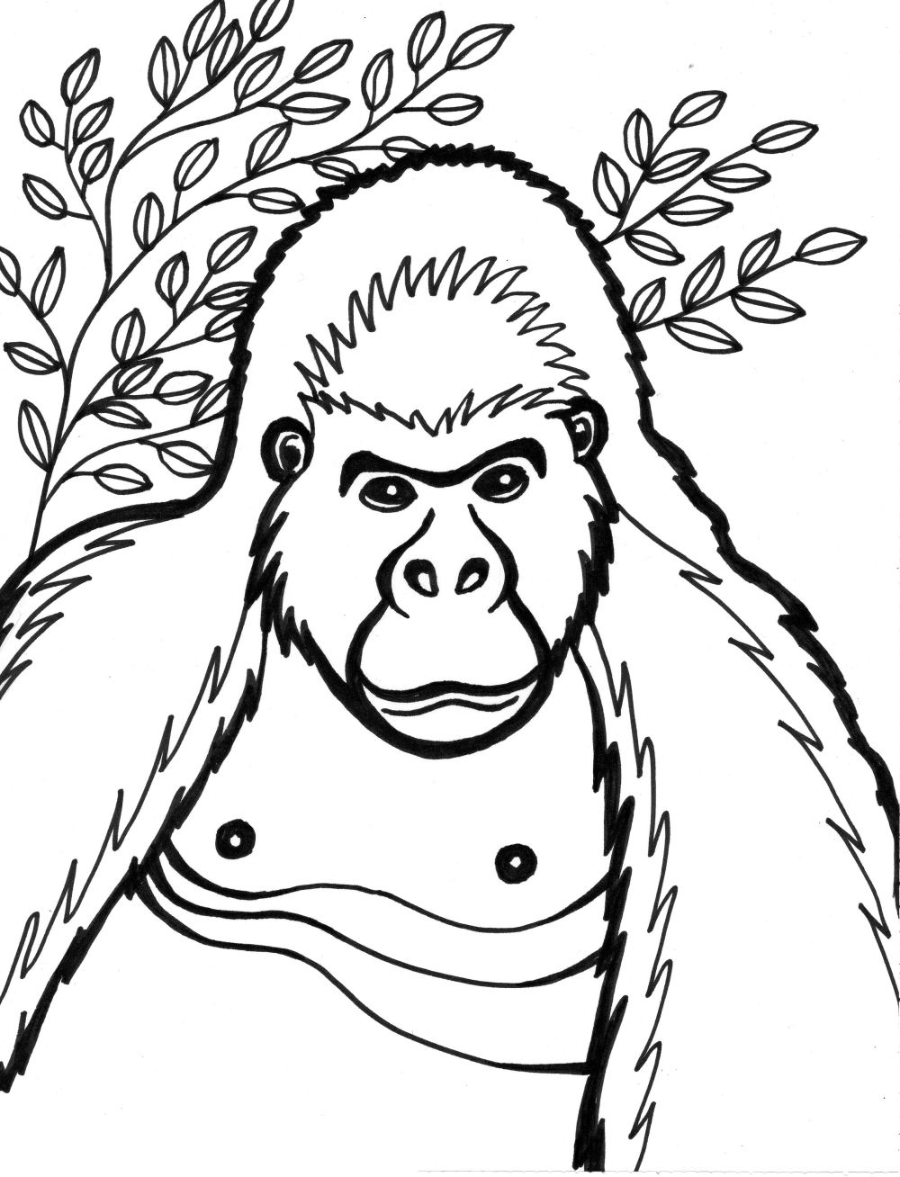 Раскраска: горилла (Животные) #7431 - Бесплатные раскраски для печати