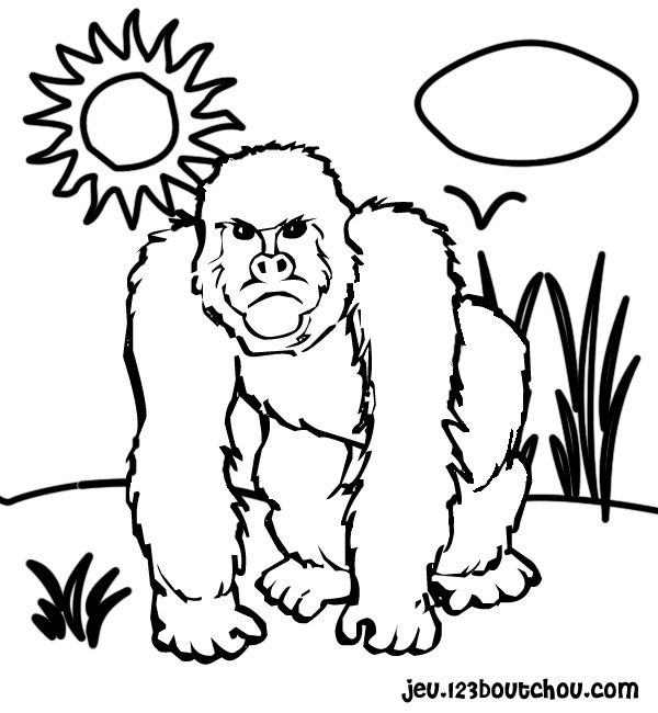 Раскраска: горилла (Животные) #7436 - Бесплатные раскраски для печати