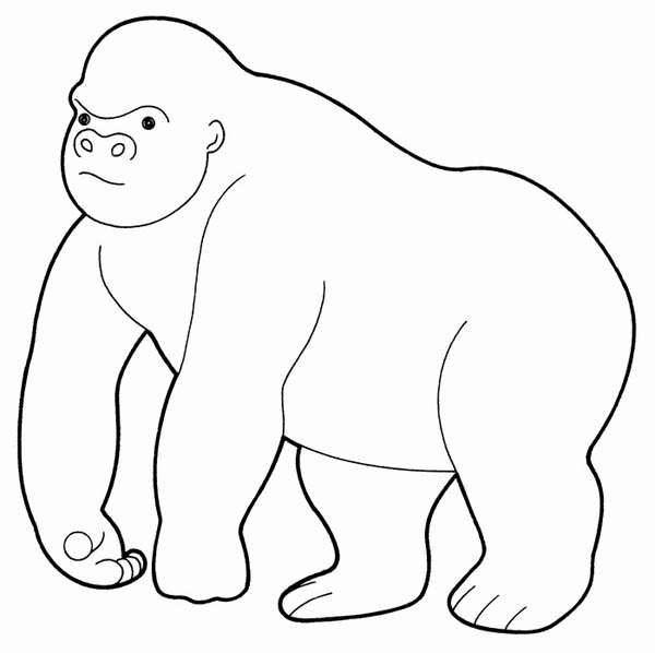 Раскраска: горилла (Животные) #7447 - Бесплатные раскраски для печати