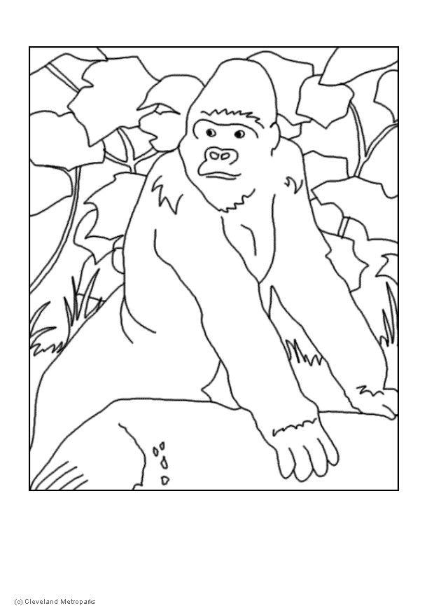 Раскраска: горилла (Животные) #7451 - Бесплатные раскраски для печати