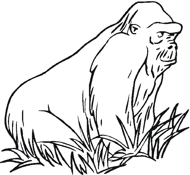 Раскраска: горилла (Животные) #7459 - Бесплатные раскраски для печати