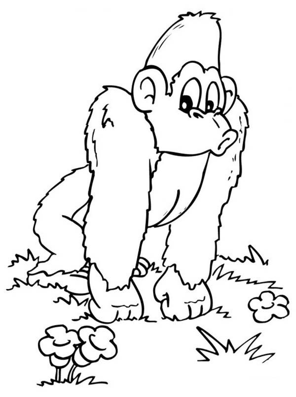 Раскраска: горилла (Животные) #7460 - Бесплатные раскраски для печати