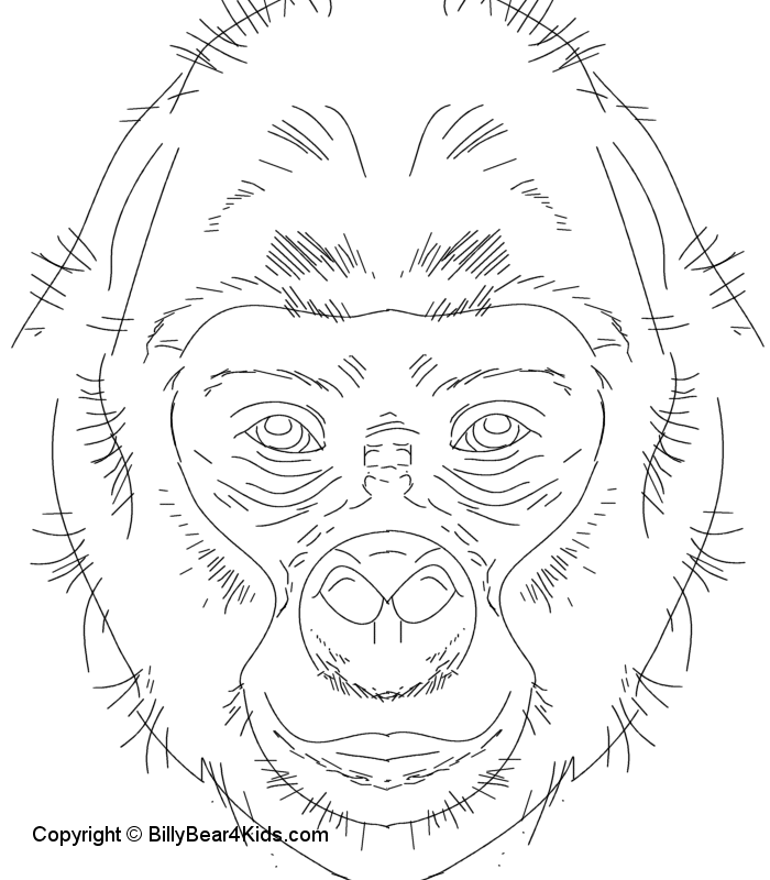 Раскраска: горилла (Животные) #7463 - Бесплатные раскраски для печати
