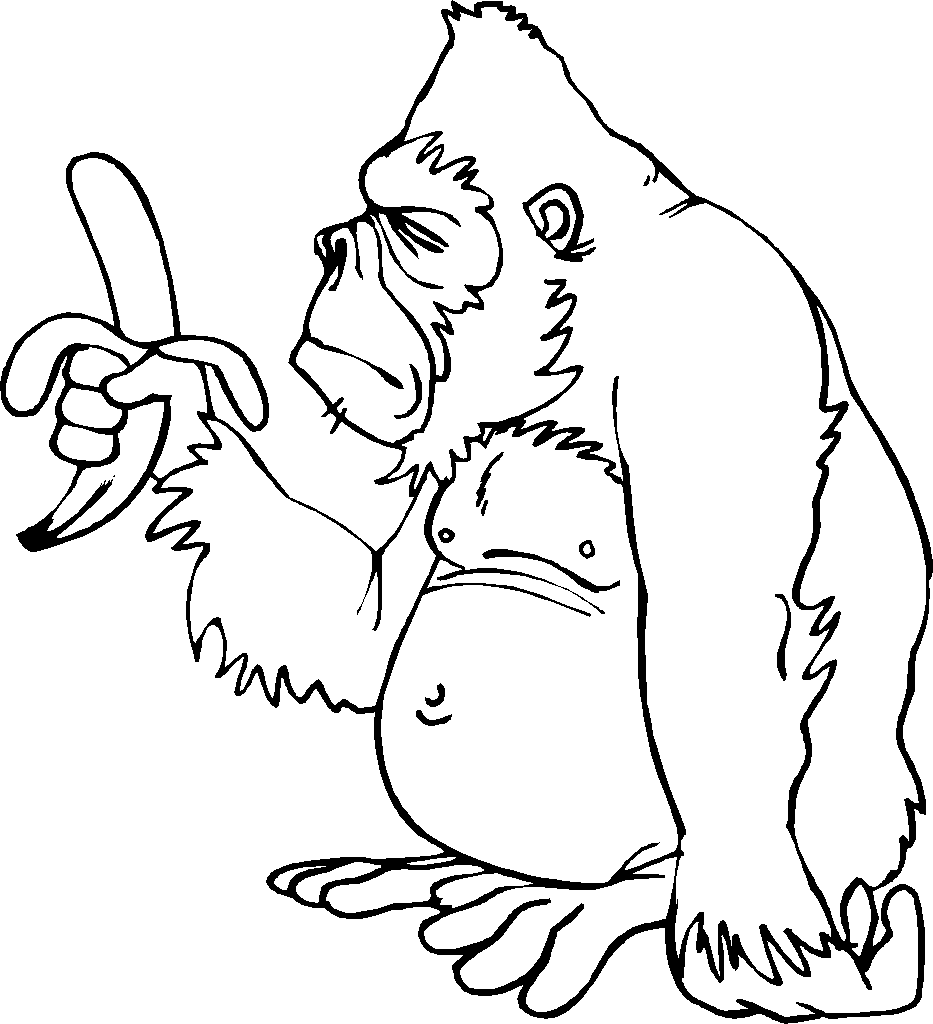 Раскраска: горилла (Животные) #7482 - Бесплатные раскраски для печати