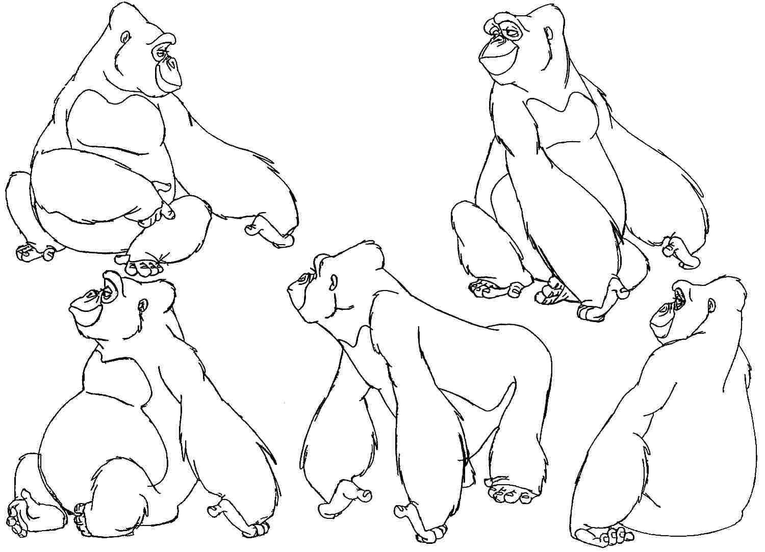 Раскраска: горилла (Животные) #7496 - Бесплатные раскраски для печати