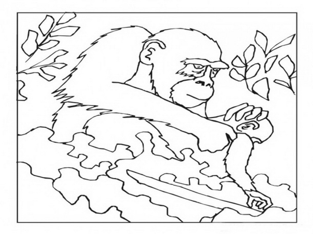 Раскраска: горилла (Животные) #7512 - Бесплатные раскраски для печати