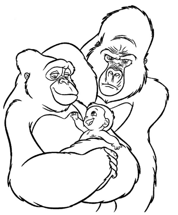 Раскраска: горилла (Животные) #7522 - Бесплатные раскраски для печати