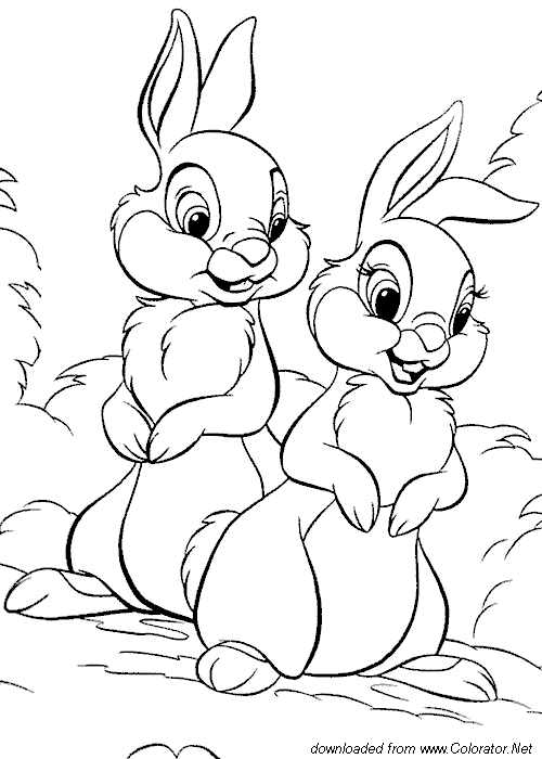 Раскраска: заяц (Животные) #10129 - Бесплатные раскраски для печати