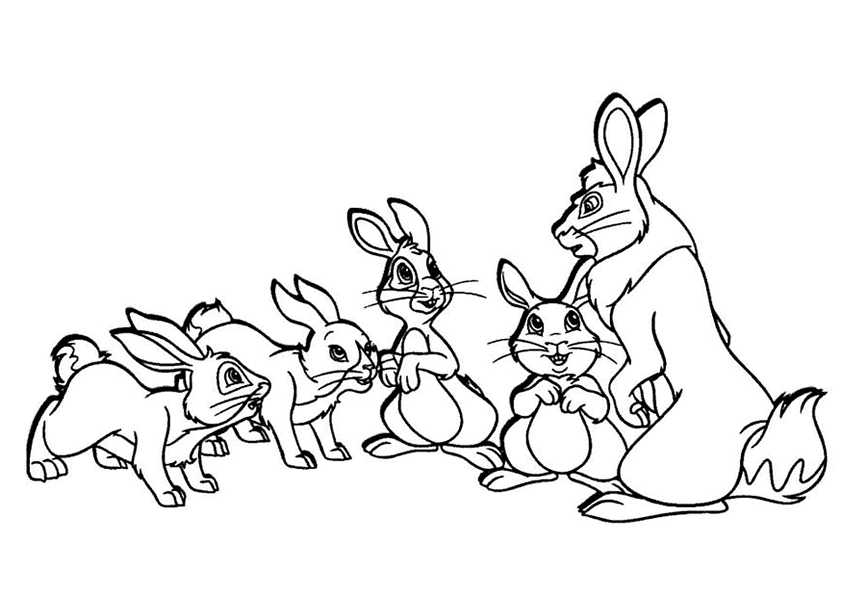 Раскраска: заяц (Животные) #10226 - Бесплатные раскраски для печати