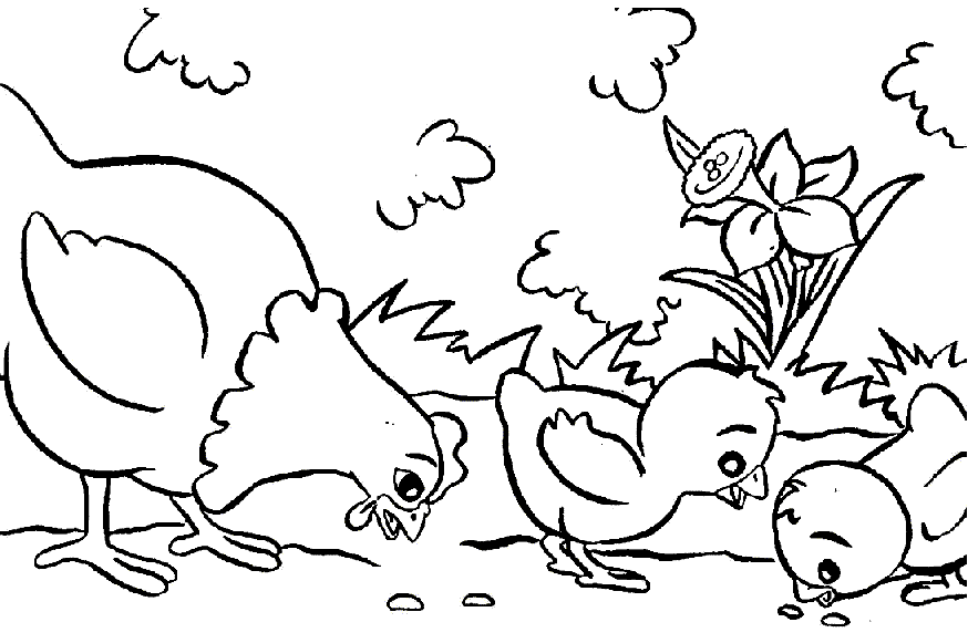Раскраска: курица (Животные) #17432 - Бесплатные раскраски для печати