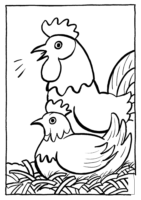 Раскраска: курица (Животные) #17455 - Бесплатные раскраски для печати