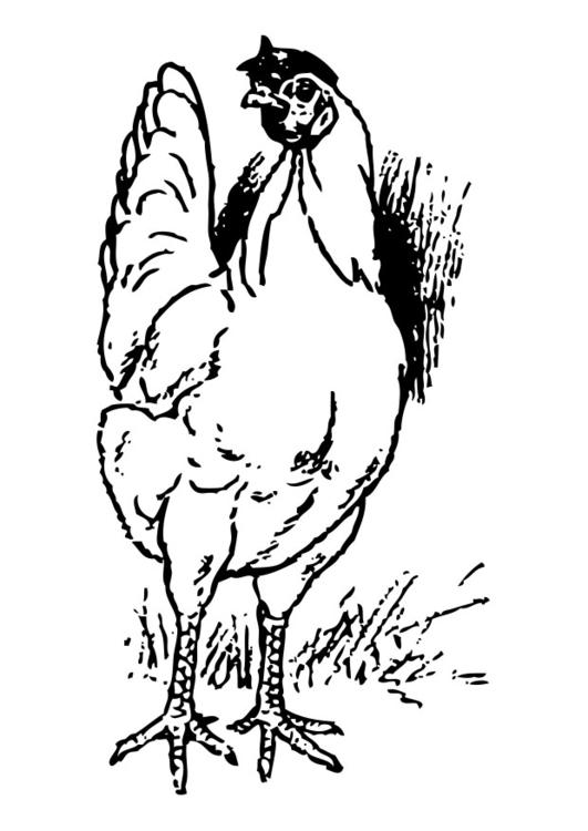 Раскраска: курица (Животные) #17460 - Бесплатные раскраски для печати