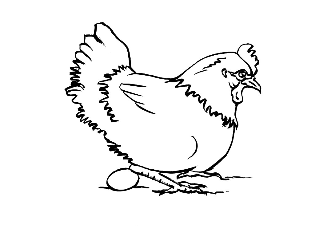 Раскраска: курица (Животные) #17463 - Бесплатные раскраски для печати