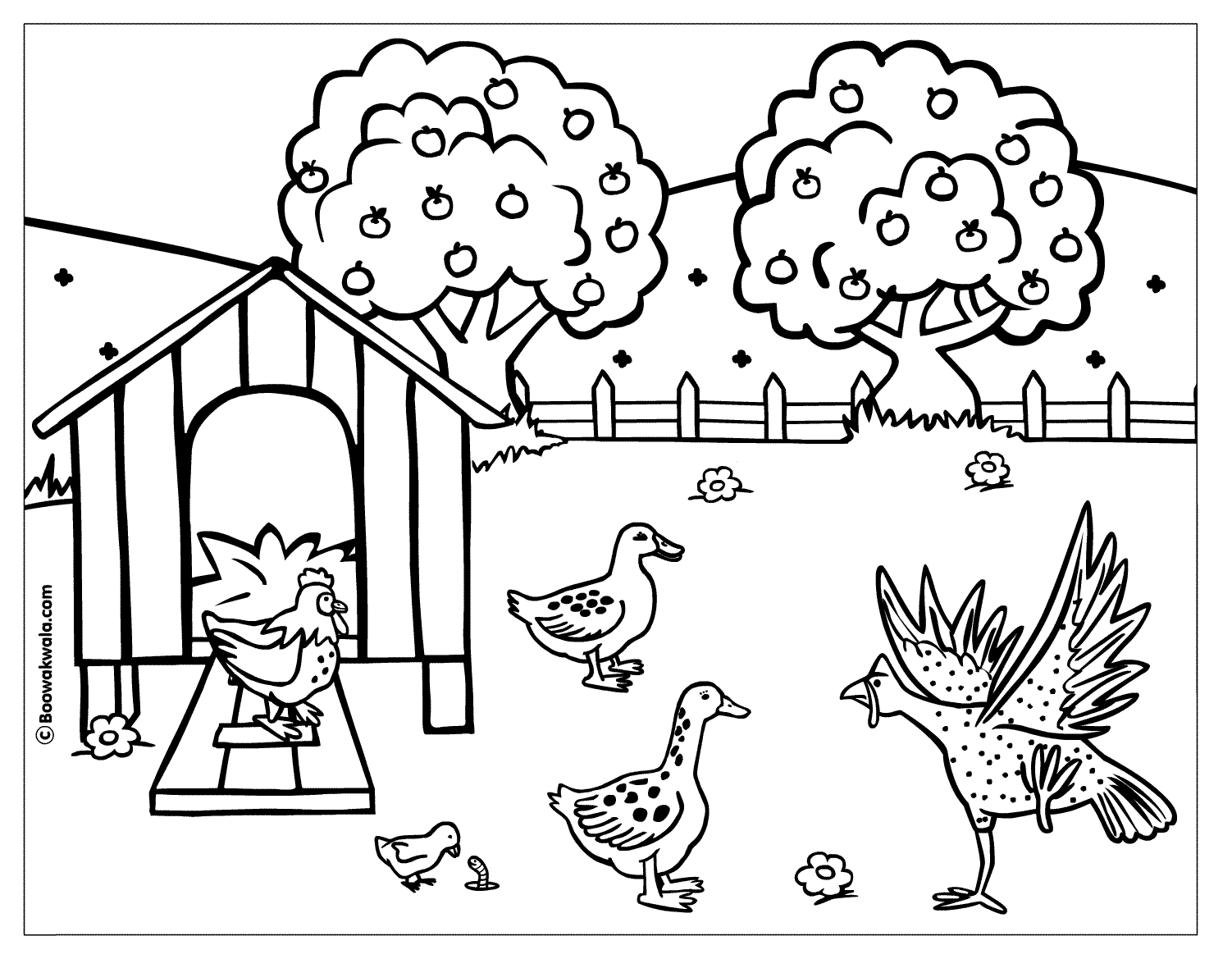 Раскраска: курица (Животные) #17465 - Бесплатные раскраски для печати