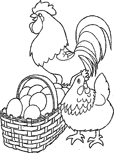 Раскраска: курица (Животные) #17477 - Бесплатные раскраски для печати