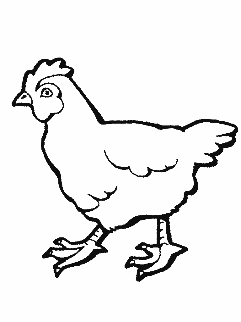 Раскраска: курица (Животные) #17488 - Бесплатные раскраски для печати