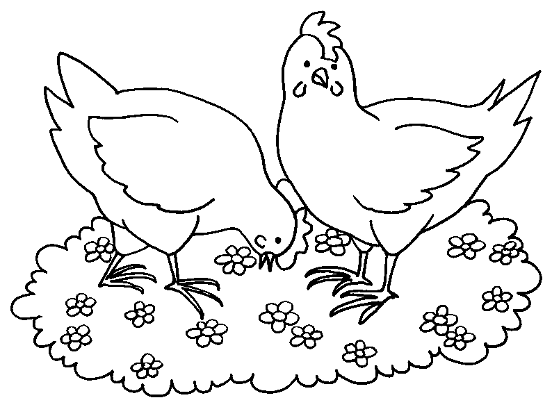 Раскраска: курица (Животные) #17505 - Бесплатные раскраски для печати