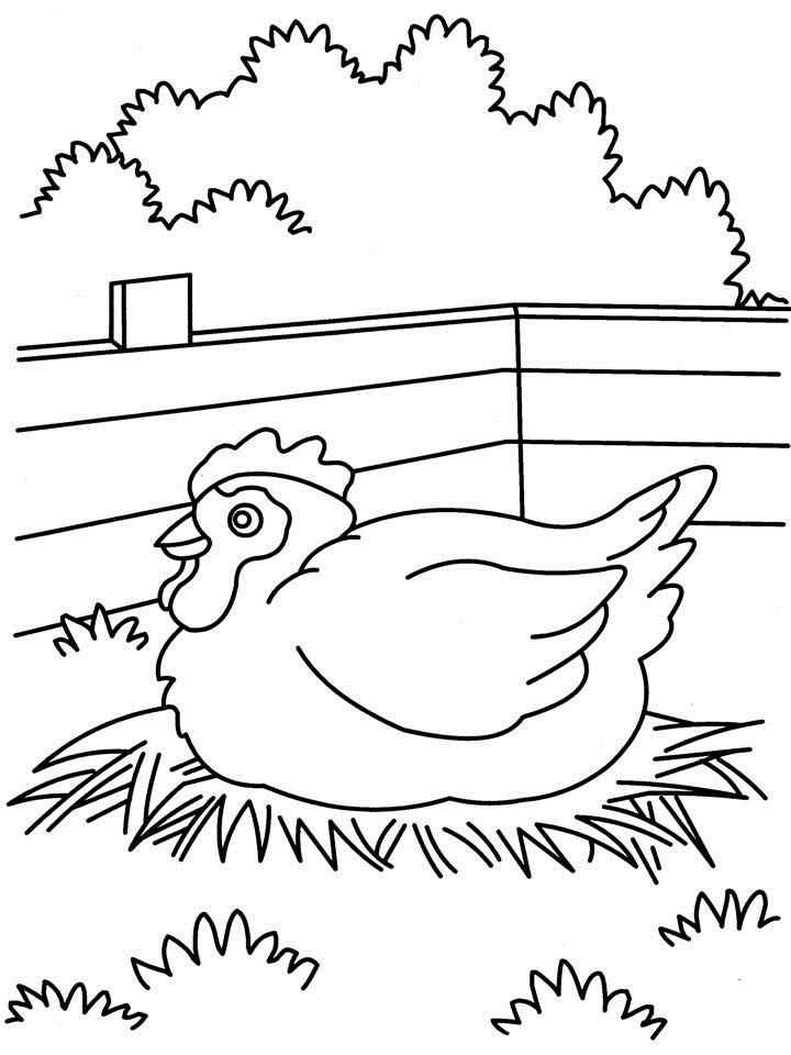 Раскраска: курица (Животные) #17535 - Бесплатные раскраски для печати