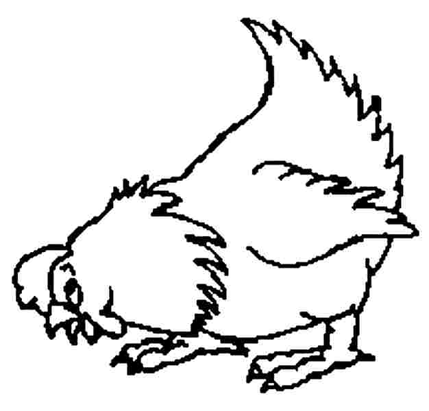 Раскраска: курица (Животные) #17580 - Бесплатные раскраски для печати