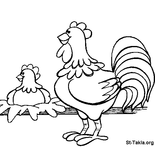 Раскраска: курица (Животные) #17615 - Бесплатные раскраски для печати