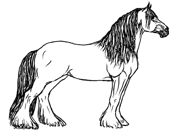 Раскраска: лошадь (Животные) #2166 - Бесплатные раскраски для печати