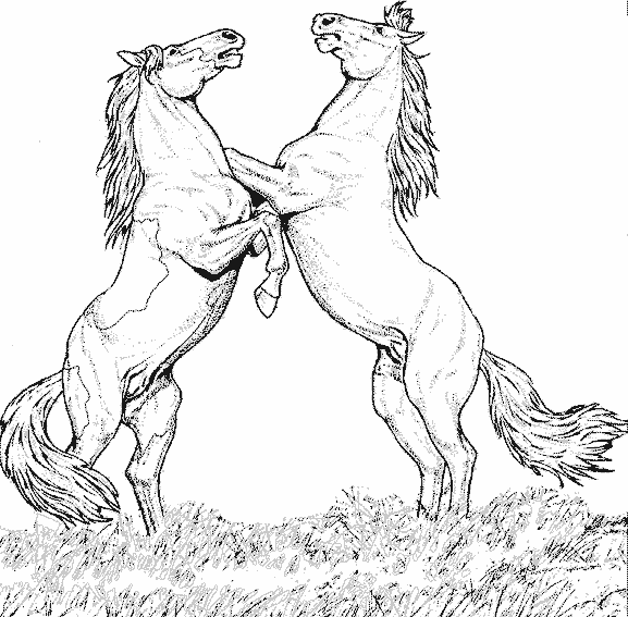 Раскраска: лошадь (Животные) #2170 - Бесплатные раскраски для печати