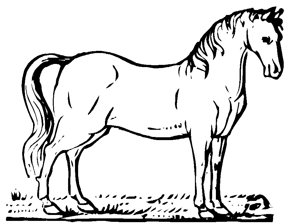 Раскраска: лошадь (Животные) #2176 - Бесплатные раскраски для печати